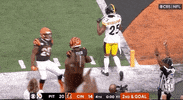 Regular Season Football GIF by NFL