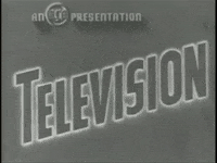 Television When Someone Asks My Plans GIF by LaGuardia-Wagner Archives