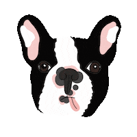 Dog Bulldog Sticker by Sweet & Deco