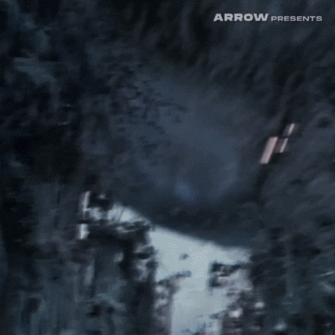 Science Fiction Film GIF by Arrow Video