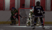 Winning Mighty Ducks GIF by Disney+