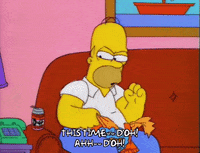 homer simpson episode 20 GIF