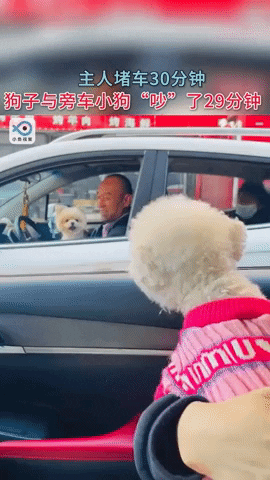 cuteanimalland giphyupload GIF