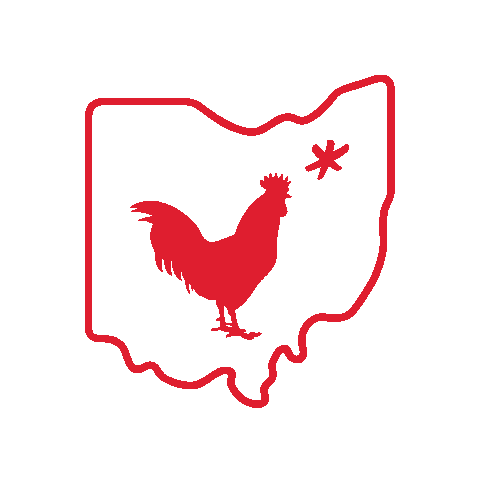 Fried Chicken Ohio Sticker by Hot Chicken Takeover