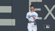 Happy Major League Baseball GIF by MLB