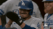 Happy Major League Baseball GIF by MLB