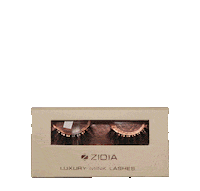 Zidia beauty style box luxury Sticker
