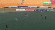 Football Goal GIF by ELEVEN SPORTS
