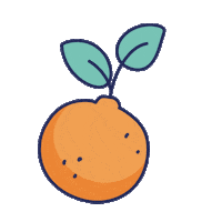 Orange Sticker by Qin Oriental Food