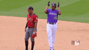 major league baseball sport GIF by MLB
