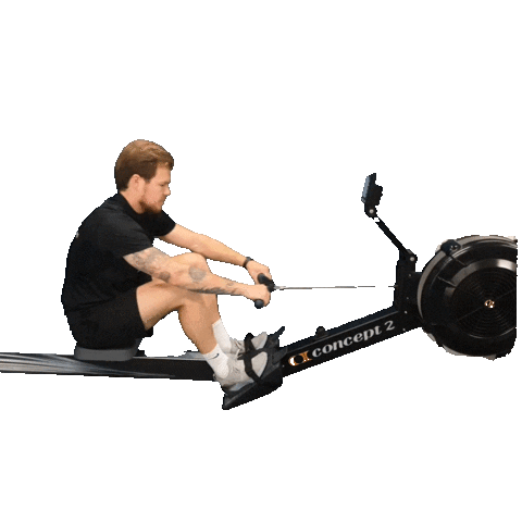 Fitness Rowing Sticker by Held Personal Training