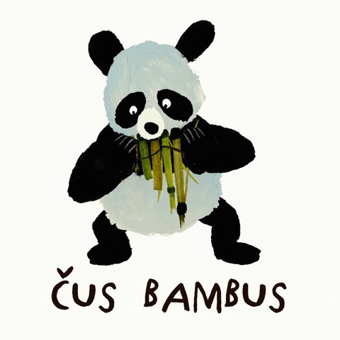 Panda Cus GIF by Mlsné medvědí příběhy
