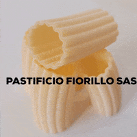 pastafiorillo pastificio fiorillo GIF