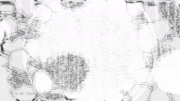 Black And White Vibes GIF by Soccer Mommy