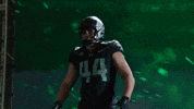 Oregon Football GIF by GoDucks