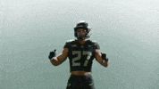 Oregon Football GIF by GoDucks