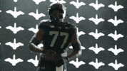 Oregon Football GIF by GoDucks