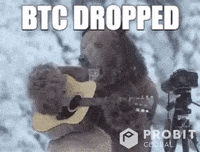 Grizzly Bear GIF by ProBit Global