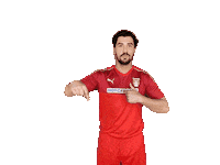 HeidmuehlerFC hfc heidmühlerfc nurderhfc heidmühle Sticker