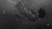 drowning samurai champloo GIF