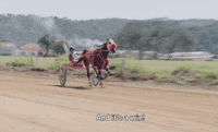 Episode Two Win GIF by UFC