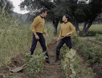 Swear_Trek star trek debate fandom snowflakes GIF
