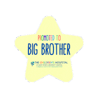Big Brother Sibling Sticker by Saint Peter's Healthcare System