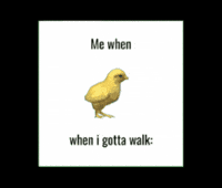 J-nny meme running bird walking GIF
