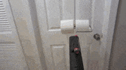 Toilet Paper Prank GIF