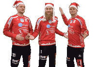 Christmas Handball Sticker by ATSV Habenhausen