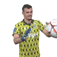 Goalkeeper Bzh Sticker by EA Guingamp