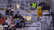 Liga Endesa Fight GIF by ACB