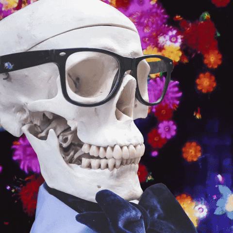 vincentthomasshort giphyupload psychedelic skeleton GIF