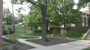 virginia GIF