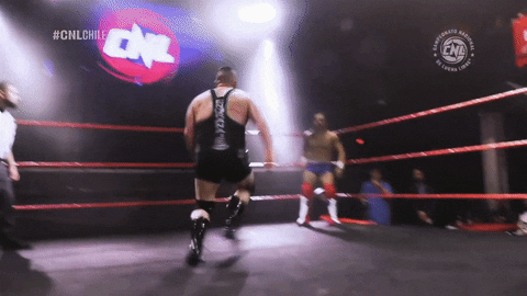 Fight Wrestling GIF by CNL Chile