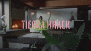 Body Of Water Pop GIF by Tierra Whack