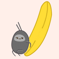 dance dancing GIF by bakubaku the cockroach