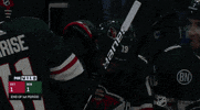 ice hockey sport GIF by NHL