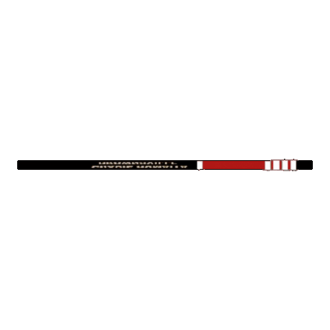 Black Belt Bjj Sticker by ghbrownsville