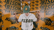 Baseball Bison GIF by NDSU Athletics
