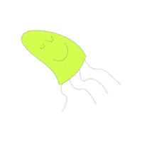 Jellyfish Sticker by Appel à Tous