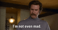 Madness GIF by Giphy QA