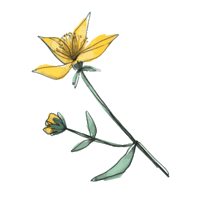Flower Sticker by BeautyLash