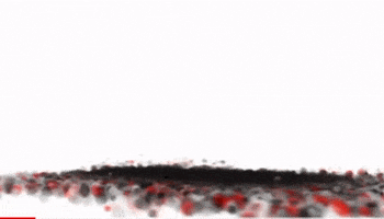 DoubleERacing suspension e2r double e racing doubleeracing GIF