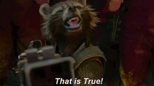 Movie gif. Rocket Raccoon in Guardians of the Galaxy holds up a gun of his own invention, as he snarled up at someone, "That is true!"
