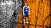 Basketball Hoops GIF by Basket_fi