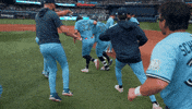 Blue Jays Celebration GIF by Toronto Blue Jays