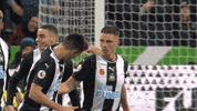 Newcastle_United newcastle nufc newcastle united federico fernandez GIF
