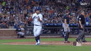 clap GIF by MLB