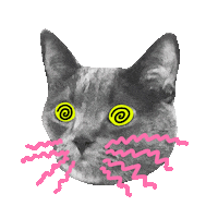 Cat Eyes Sticker by Sarah The Palmer